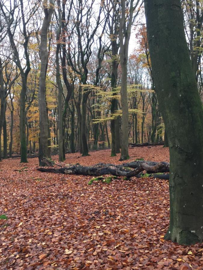 Riemershof Ermelo Eksteriør billede